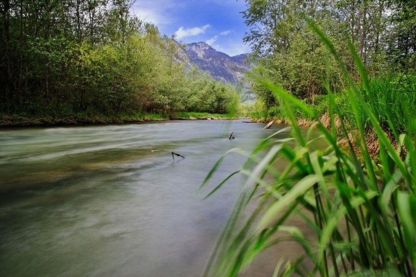 Feu vert à la restauration de la nature dans l’UE Feu vert à la restauration de la nature dans l’UE