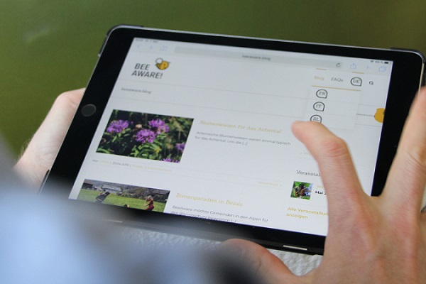 Journée mondiale des abeilles : des conseils pratiques pour les communes Journée mondiale des abeilles : des conseils pratiques pour les communes