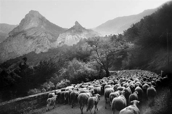 La jeunesse se penche sur la qualité de vie dans les Alpes La jeunesse se penche sur la qualité de vie dans les Alpes