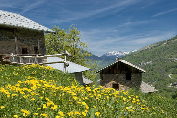 La protection de la nature au service des Hommes La protection de la nature au service des Hommes