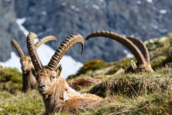 Le tourisme durable en pratique Le tourisme durable en pratique