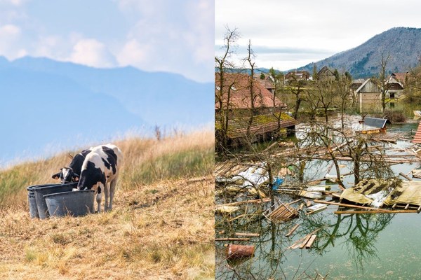 Les risques climatiques : anticiper au lieu d’attendre Les risques climatiques : anticiper au lieu d’attendre