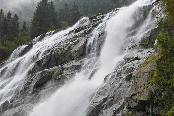 Les services rendus par la nature Les services rendus par la nature