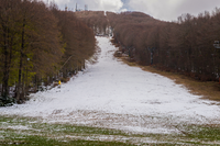 L'hiver sans neige - et maintenant ?