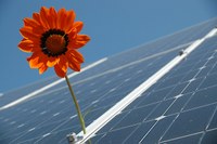 Stratégies pour la neutralité carbone dans les Alpes en 2050