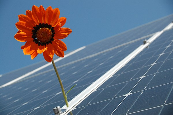Stratégies pour la neutralité carbone dans les Alpes en 2050 Stratégies pour la neutralité carbone dans les Alpes en 2050