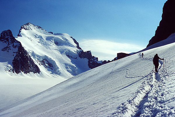 Un master pour les Alpes Un master pour les Alpes