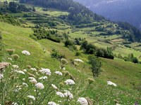 Un système d’échange régional