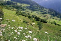 Un système d’échange régional