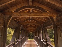 Climate Bridges