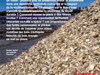 Forêt