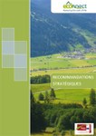 Recommandations stratégiques