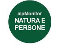 alpMonitor