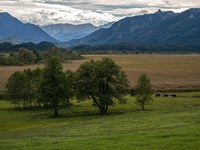 Murnauer Moos (DE)
