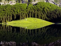 Valore della natura
