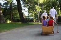 Comportamenti legati alla mobilità