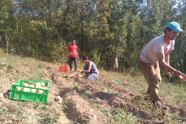 Curare paesaggi e relazioni Curare paesaggi e relazioni