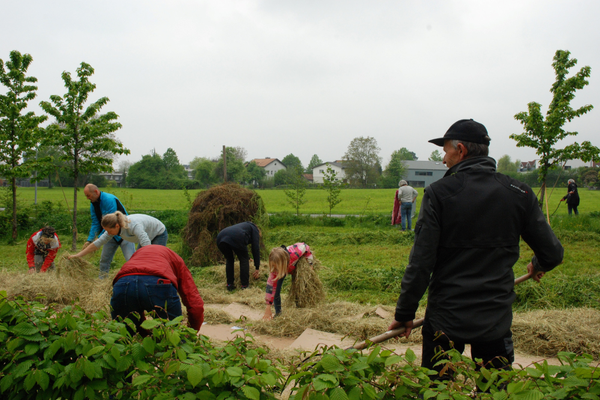 Terreno sciolto grazie alle patate Terreno sciolto grazie alle patate