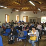 Manifestazioni