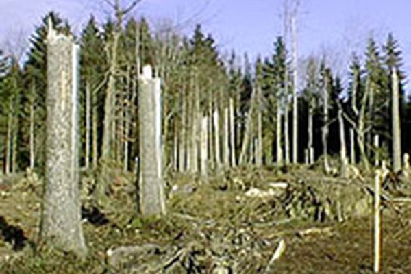Sistema di segnalazione emergenze maltempo in Austria Sistema di segnalazione emergenze maltempo in Austria