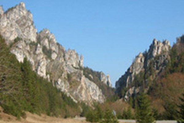 Seminari nell'ambito del progetto di cooperazione Alpi-Carpazi Seminari nell'ambito del progetto di cooperazione Alpi-Carpazi