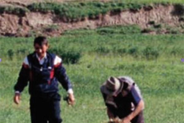 Giornata internazionale delle montagne sul tema della biodiversità Giornata internazionale delle montagne sul tema della biodiversità