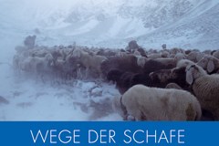 Obbligo di locazione in un resort turistico in progetto in Svizzera Obbligo di locazione in un resort turistico in progetto in Svizzera