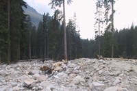 Obiettivi per il clima: un chiaro appello dalla scienza
