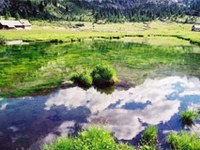 Studio: risorse idriche nelle Alpi e cambiamento climatico