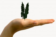 I Grigioni/CH danno il buon esempio nella protezione della natura I Grigioni/CH danno il buon esempio nella protezione della natura