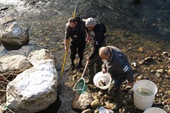 Dipartimento dell'Isère: abbattere le barriere Dipartimento dell'Isère: abbattere le barriere