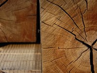 Per un'economia sostenibile