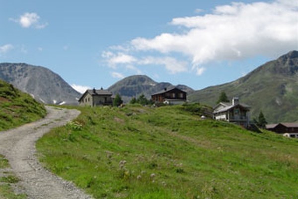 Cooperazione italo - svizzera per migliorare la connettività ecologica Cooperazione italo - svizzera per migliorare la connettività ecologica