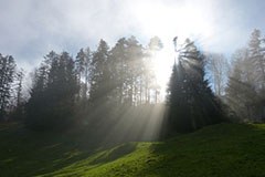 50 anni di parchi naturali in Austria 50 anni di parchi naturali in Austria