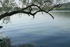 Gli Stati vietano la fratturazione idraulica nel Lago di Costanza Gli Stati vietano la fratturazione idraulica nel Lago di Costanza