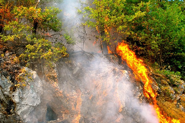 Alpi piemontesi colpite da siccità e incendi Alpi piemontesi colpite da siccità e incendi