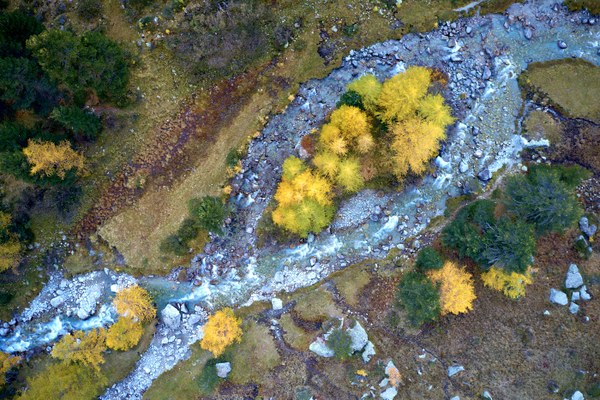Conservare e rinaturalizzare i corsi d’acqua di montagna Conservare e rinaturalizzare i corsi d’acqua di montagna