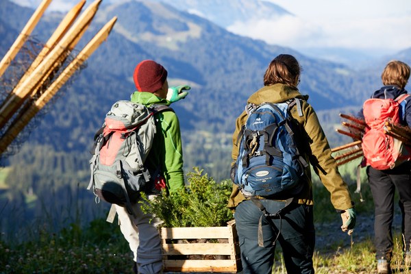 Crisi climatica: soluzioni dalla natura Crisi climatica: soluzioni dalla natura
