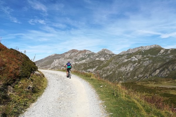 Godersi la natura invece di mangiare polvere Godersi la natura invece di mangiare polvere