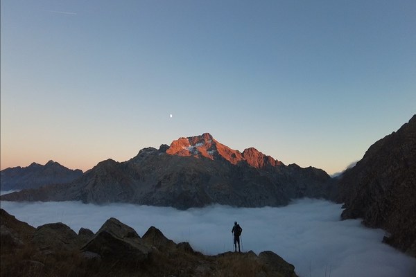 Passo dopo Passo Passo dopo Passo