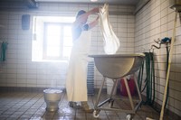 Per un'economia più verde