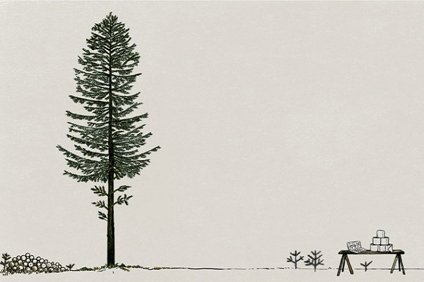 Un albero ha sette vite Un albero ha sette vite