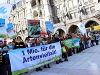 Voti per le api