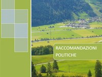 Raccomandazioni politiche