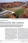 Infrastrutture ecologiche: la rete della vita