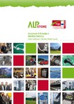 Accumulo di Energia e Mobilità Elettrica - Linee Guida per i Decisori Politici Locali