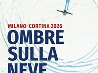 Ombre sulla neve