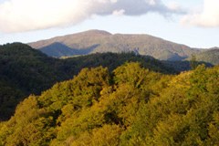 1265_Kaukasusgebirge.jpg
