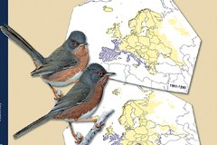 1477_Vogelatlas.jpg