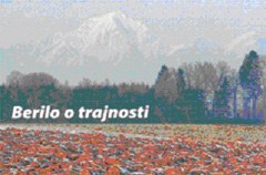 2376_Berilo.jpg